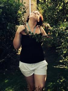 Liebling ich Blogge jetzt