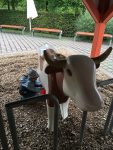 Playmobil-FunPark-Kuehe-melken