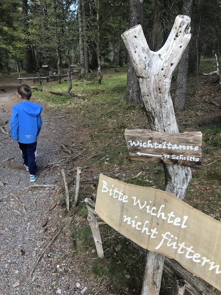 feldberger Hof Wichtelweg Wald