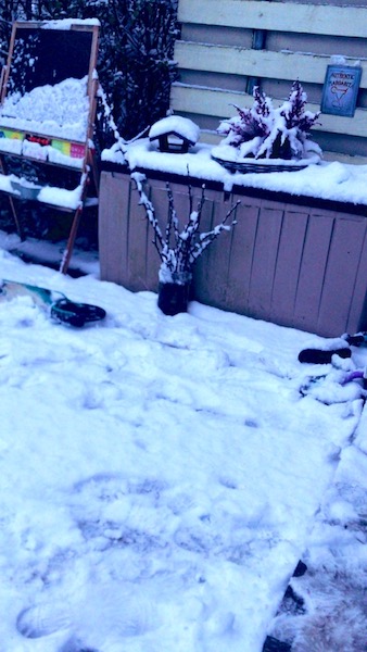 Corona Dezember 2020 Schnee
