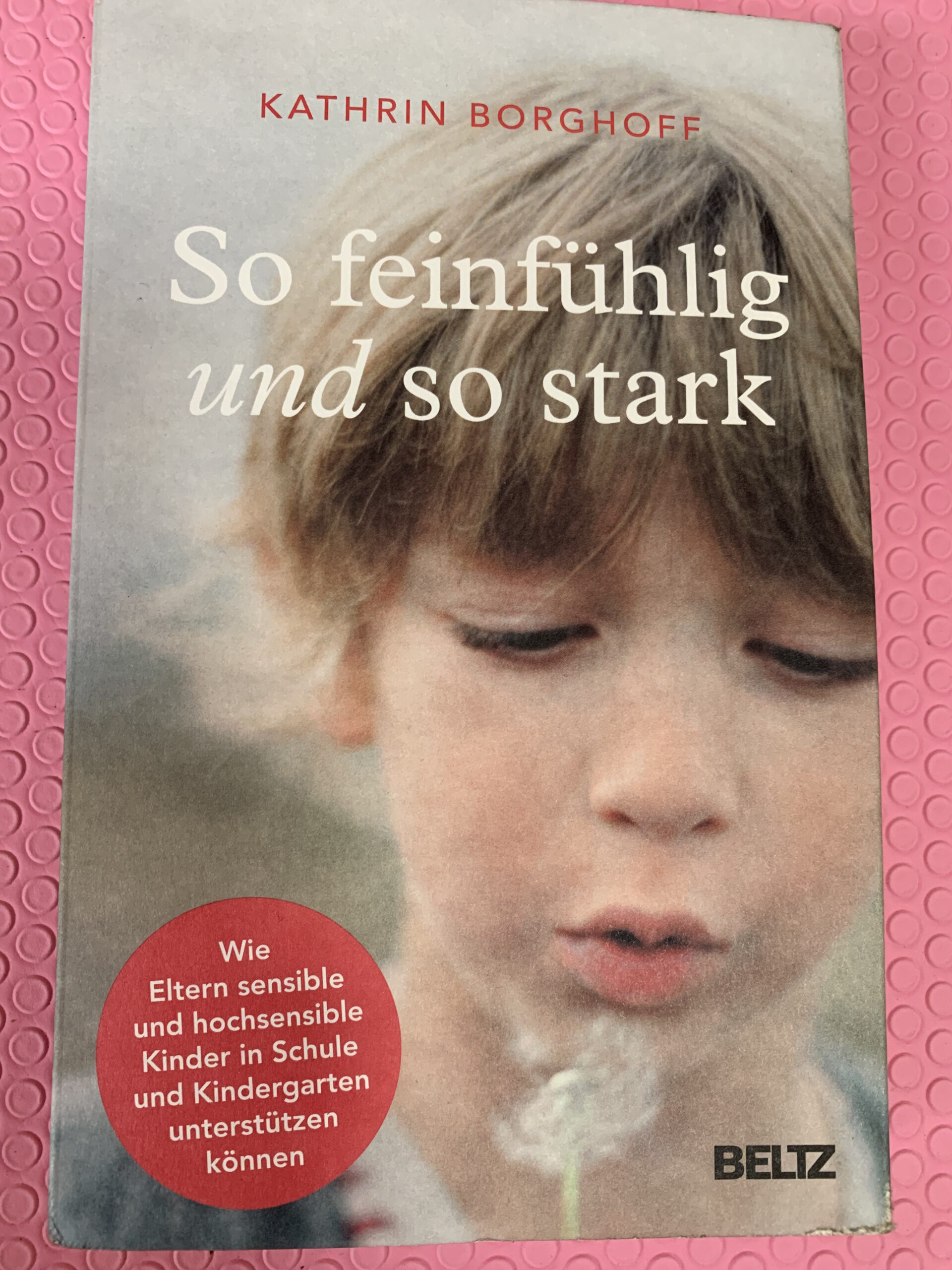 Bücher die ich lese So feinfühlig und so stark Kathrin Borghoff